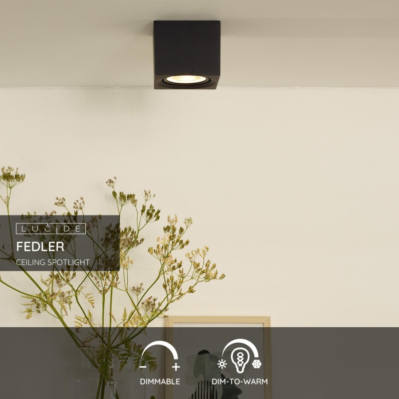 Lucide FEDLER - Stropné bodové svietidlo - LED Dim to warm - GU10 - 1x12W 2200K/3000K - Black